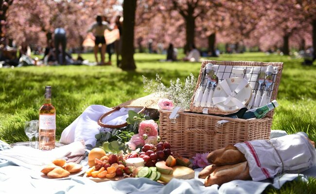 đi picnic 