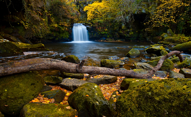 Công viên quốc gia North York Moors