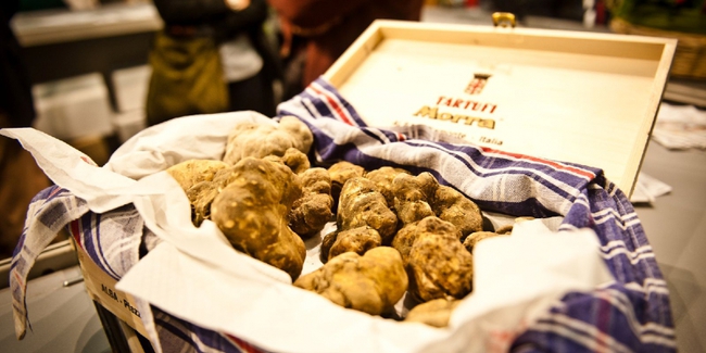 du-lich-chau-au-le-hoi-nam-truffle-trang-alba