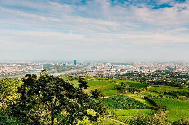 du lịch Vienna - đồi Kahlenberg