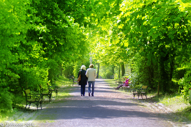 du lịch Vienna - nghĩa trang St. Marx