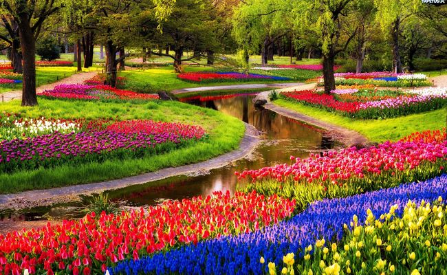 đất nước hà lan - vườn keukenhof