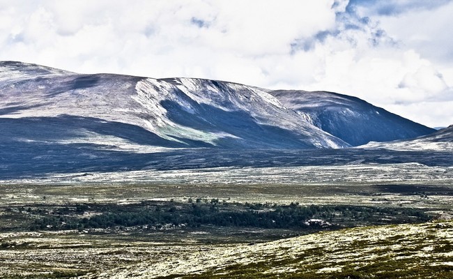 du lịch bắc âu tự túc - Dovrefjell-Sunndalsfjella