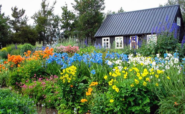 du lịch iceland tự túc - Akureyri