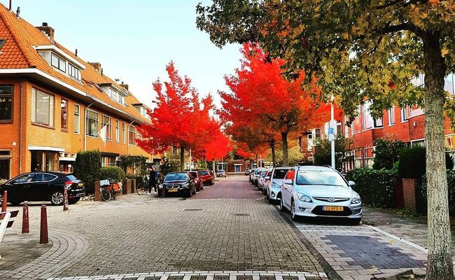 du lịch leiden - mùa thu