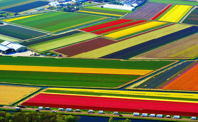 kinh nghiệm du lịch keukenhof - lisse