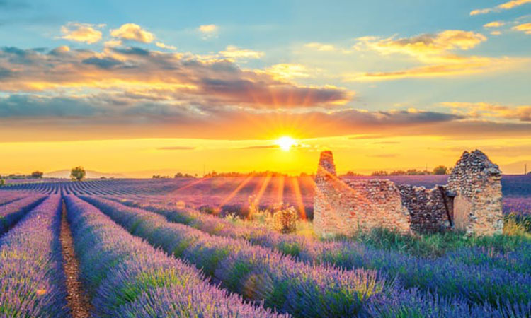 Provence