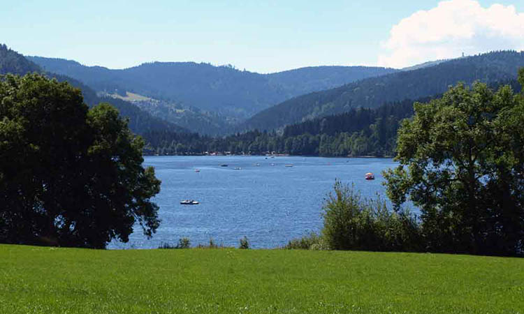 Đi bộ quanh hồ Titisee