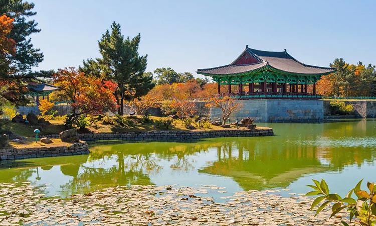 Tour Hàn Quốc Daegu - Gyeongju - Busan 2019